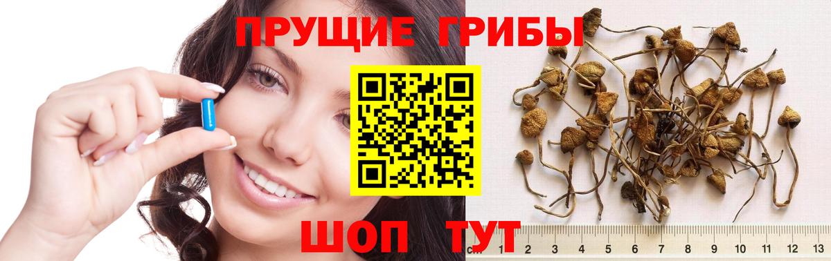 Галлюциногенные грибы MAGIC MUSHROOMS  Вход с VPN  Псилоцибиновые грибы мухоморы  Калуга 